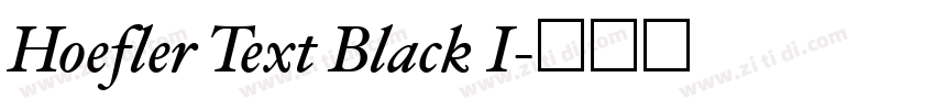Hoefler Text Black I字体转换